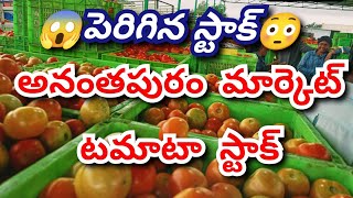 టమాటా స్టాక్today tomato market ratestoday Tomato pricetoday Tomato pricetoday tomato price [upl. by Amos]