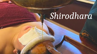 SHIRODHARA therapy experience in Kerala  Ayurvedic Therapies [upl. by Rubetta]