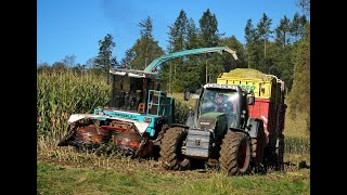 🌽Maisernte24 • Mengele Mammut • Eicher 3085 • Fendt Vario 818 • Deutz Agrotron • Classic Machines🌽 [upl. by Anaderol]