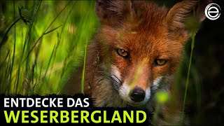 Das Weserbergland ‒ Sagenhaftes Niedersachsen  Erlebnis Erde [upl. by Edythe]