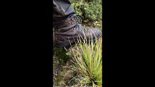 Marchant Ridge To Old Dobsons Hut Site Tararua Forest Park NZ [upl. by Iva]