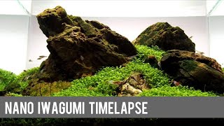 Nano Iwagumi HardscapeTimelapse and Development in a Dennerle Scaper’s Tank [upl. by Florrie342]