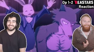 BEASTARS Opening 12  Anime Op Reaction [upl. by Attenohs675]