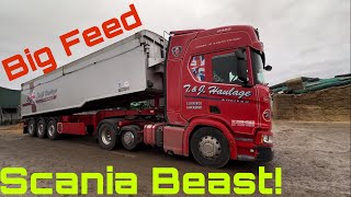 Scania Beast Delivers Huge Load of Feed JCB Damage [upl. by Knighton281]