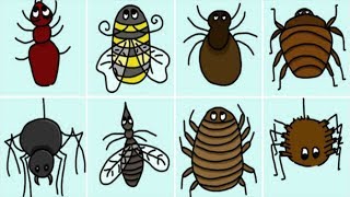 Descubre cómo identificar las 8 picaduras de insectos más comunes  Jaime Andevert [upl. by Argent]