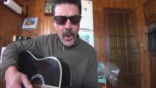 Vivre ou survivre DANIEL BALAVOINE cover guitare [upl. by Baugh495]