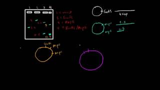 Restriction Enzyme Mapping of DNA [upl. by Harbed]