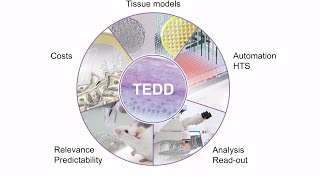 Tissue Engineering for Drug Development and Substance Testing at ZHAW in Waedenswil [upl. by Felton567]