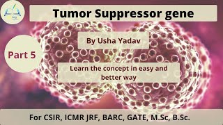 P53  Tumor suppressor gene  Cancer biology  part 5 [upl. by Aroz311]