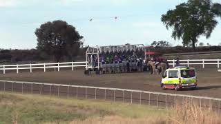 Taroom 20240928 Race 5 [upl. by Juni]