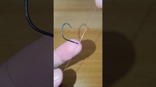 Bait Knot fishing smallknot fishingknot fishingtips [upl. by Radmilla]