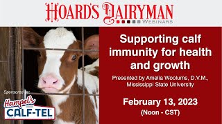 Supporting calf immunity for health and growth [upl. by Eelac988]