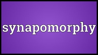 Synapomorphy Meaning [upl. by Christye]