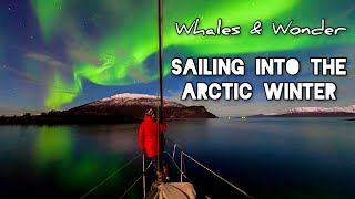 Sailing into the Arctic Winter  Northern Norway Sailing Free Spirit [upl. by Calabrese345]