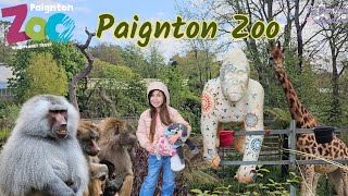 Spend The Day At Paignton Zoo Devon With Us [upl. by Metsky]