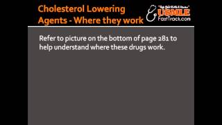 Cholesterol Lowering Agents  Where they work [upl. by Shaughn478]