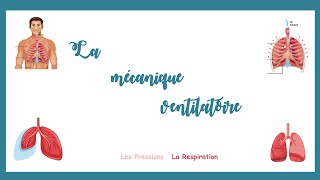 La mécanique ventilatoire la mécanique de la respirationPressions respirationPhysiologie [upl. by Polky197]