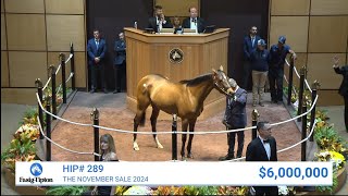 McKulick sells for 6000000 at The November Sale 2024 [upl. by Flss644]