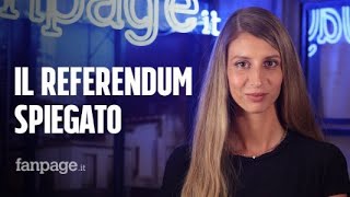 Referendum giustizia 2022 la spiegazione dei 5 quesiti [upl. by Moody]