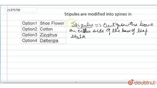 Stipules are modified into spines in [upl. by Vince]