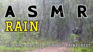 Relaxing Music Of Rainforest Nature Sounds  RAIN HD VIDEO [upl. by Aimak]