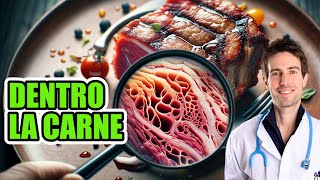 Mangiare una BISTECCA fa MALE Antibiotici ormoni e altre sostanze qual è la verità [upl. by Metsky]