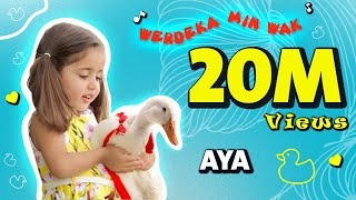 ئايه وەردەکا من واك واك  aya werdeka min wak wak [upl. by Annod]