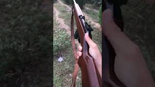 ERMA Werke M1 carbine 22 WMR [upl. by Dib]