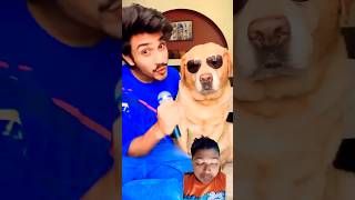 Suno Gaur se comedyfunny doglover labrador ajjubhaiandamitbhailive dogcomedy dogentertainment [upl. by Llemar679]