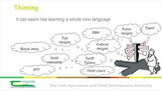 Optimising Forest Management  getting the most from your forest [upl. by Nuhsar]