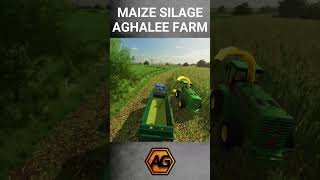 Maize Silage at Aghalee Farm farmingsimulator22 maize johndeere [upl. by Aytida]