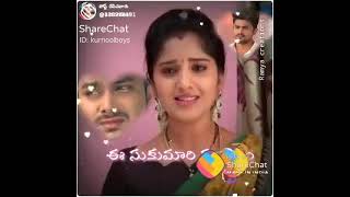 kalyana vaibhogam serial sad version title song  jaimangakalyanavaibhogamserial [upl. by Dressler]