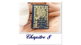 Chapitre 8  Orgueil et Préjugés de Jane Austen [upl. by Tedder488]