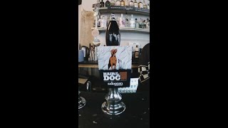 Virgin Beer Review  Salopian Brewery  Hair Of The Dog [upl. by Brothers461]