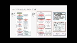 Overview of Updates for Neonatal Resuscitation NRP 8th Edition [upl. by Tap]