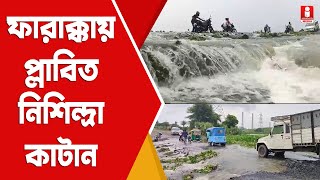 Murshidabad Flood ফারাক্কায় পাহাড়ি জলে প্লাবিত নিশিন্দ্রা কাটান [upl. by Ymorej449]