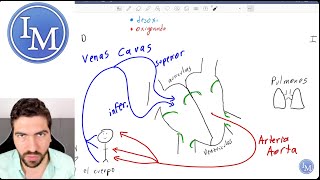 Fisiología Cardiovascular  Circulación Válvulas y Valvulopatías  Congreso BUAP Semana del Corazón [upl. by Harmonie]