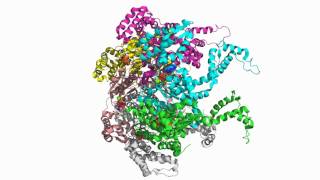 HslU Hexamer 1Do0 [upl. by Rochella]