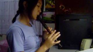 Dragon Roost Island  Zelda The Wind Waker Recorder Flute [upl. by Gulick428]