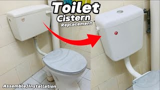 How to Replace a Flushing Toilet Cistern at HOME  Low Level Single Flush Push Button Cistern [upl. by Leverick]