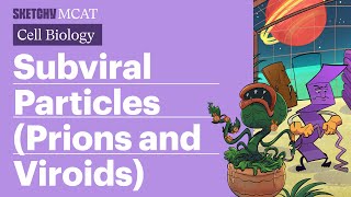 Subviral Particles Prions amp Viroids Explained Full Lesson Sketchy MCAT [upl. by Ttocserp180]