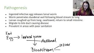 Ascaris lumbricoides [upl. by Raama]