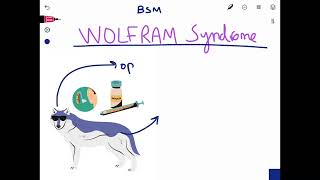 Wolfram Syndrome Mnemonic PLABUSMLEMCCQEMSRA [upl. by Syla983]