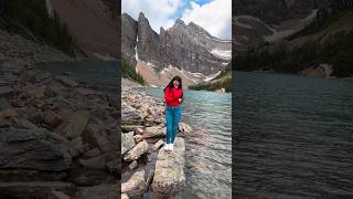 We did a family hike to a Mountain Top Teahouse mountains banff hikingadventures [upl. by Vivle924]