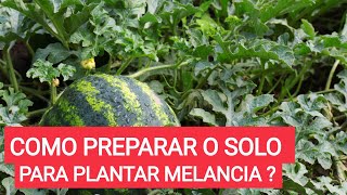 Como preparar o solo para plantar melancia  passo a passo [upl. by Trout]