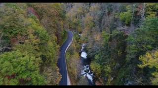 Fall Along the Nantahala River [upl. by Ahtnama]