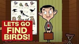 Birdwatching Bean 🐦  Mr Bean Animated Season 2  Funny Clips  Mr Bean Cartoons [upl. by Micheal]