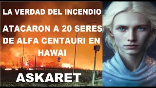 La Verdad sobre Hawai Ataque a una Raza Extraterrestre 20 Alfa Centauris se encontraban en MAUI [upl. by Tai808]