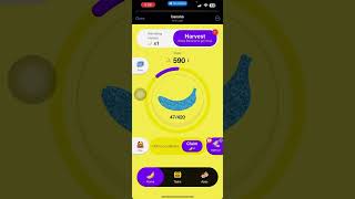 BANANA TG BOT  TAP TO EARN TOKEN IN TELEGRAM BOT THIS 2024  TAGALOG REVIEW 2024 [upl. by Nutter]