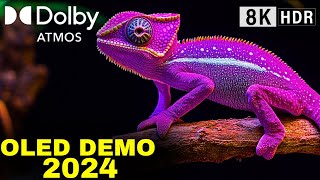 Experience True Cinema Quality OLED DEMO HDR 120fps with Dolby Vision [upl. by Lund7]